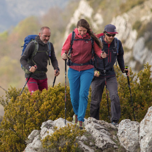 Trekking Poles