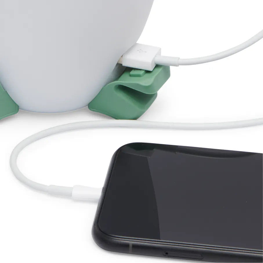 Black Diamond - Orbiter 450 Rechargable Lantern