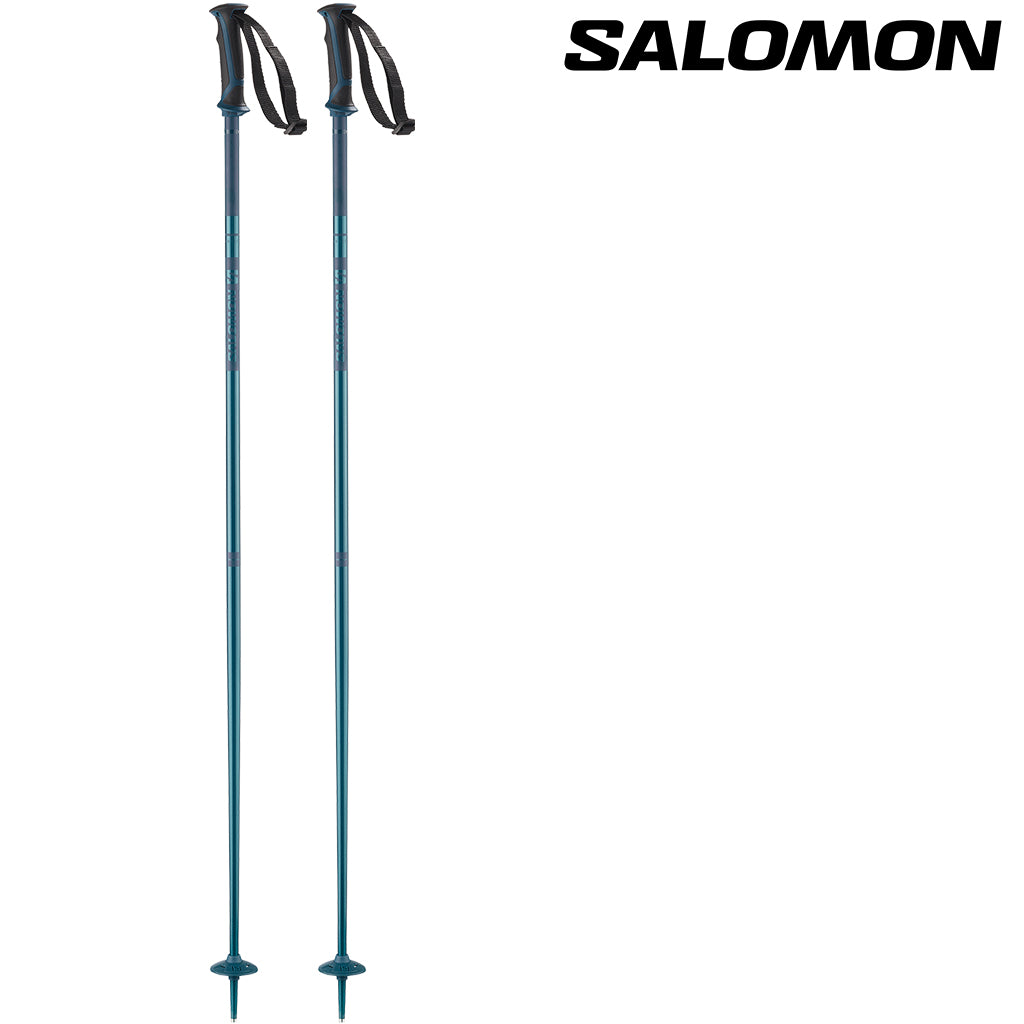 salomon arctic ski poles 2019 Salomon