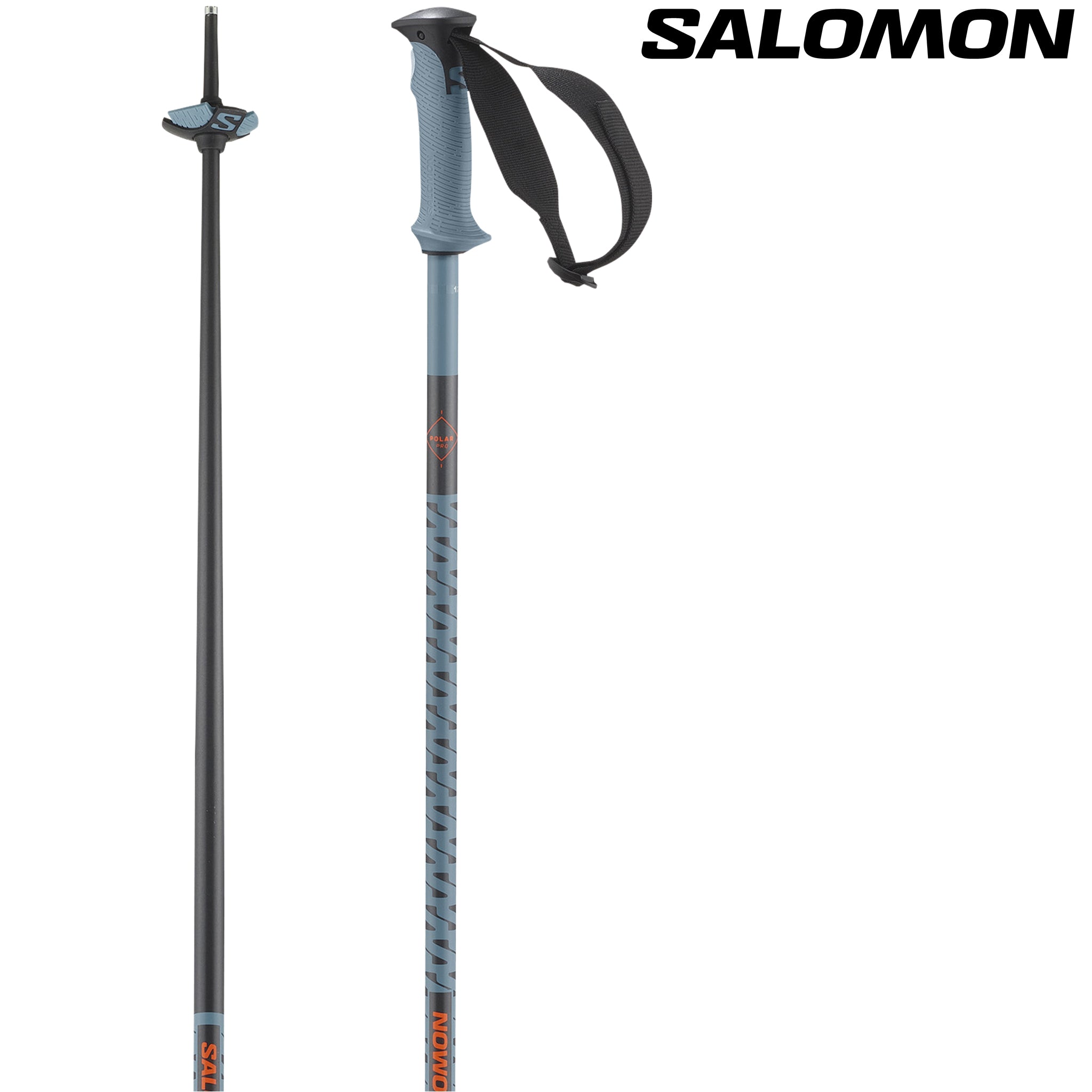 salomon arctic ski pole blue Salomon