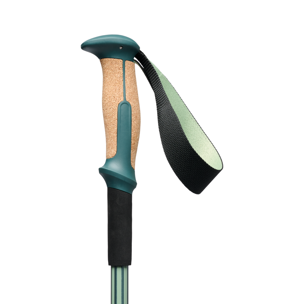 Black Diamond - Trail Vista Shock Trekking Poles (Pair)