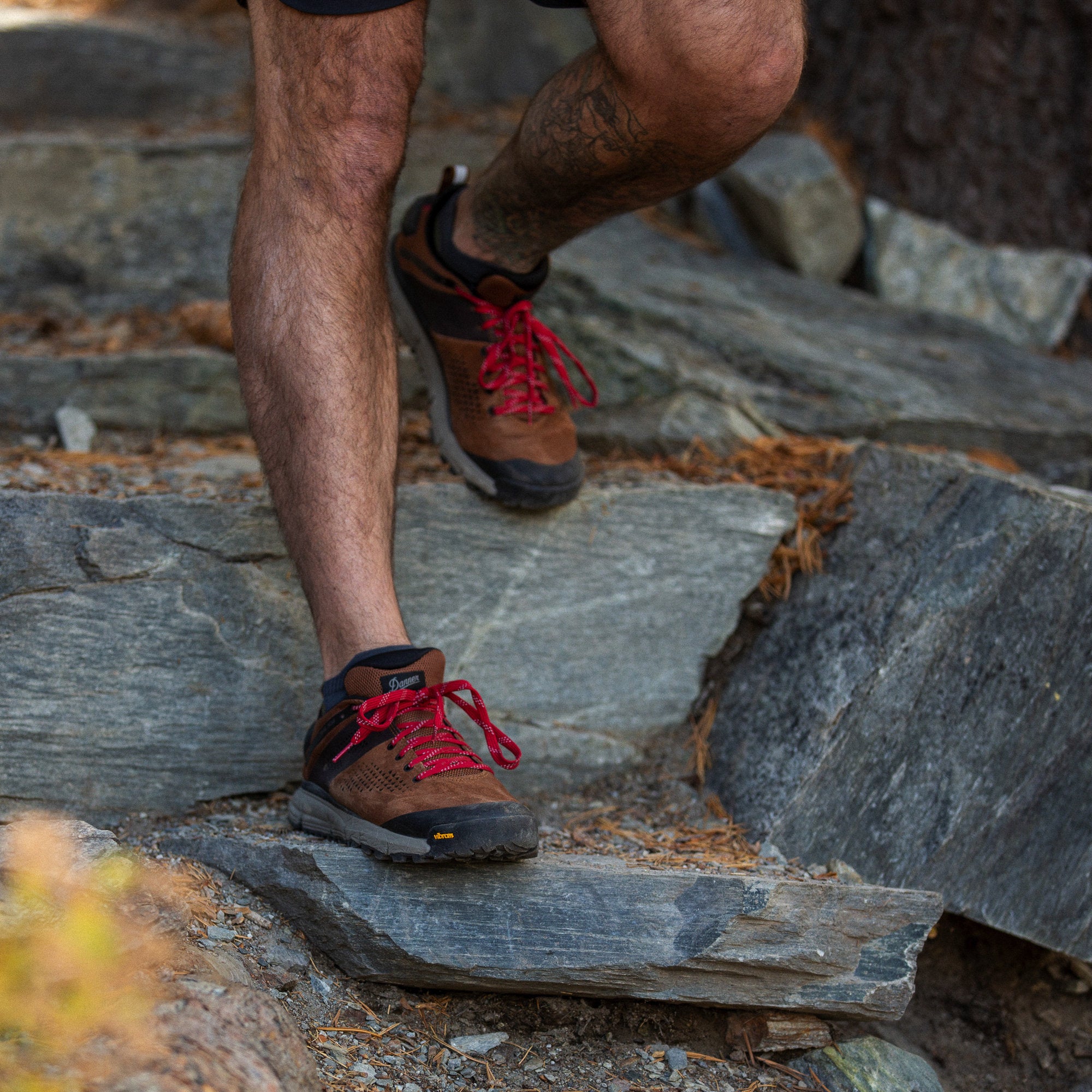 Danner - Men's Trail 2650