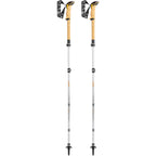Leki - Women's Cressida FX Carbon AS (Pair)