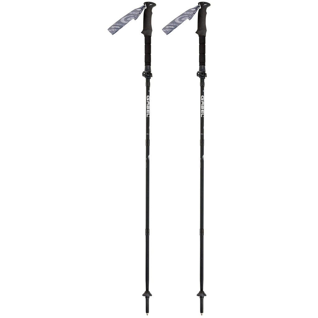Gabel - FR-5 FL Lite (Pair)
