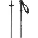 Salomon - Arctic Poles