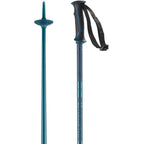 Salomon - Arctic Poles
