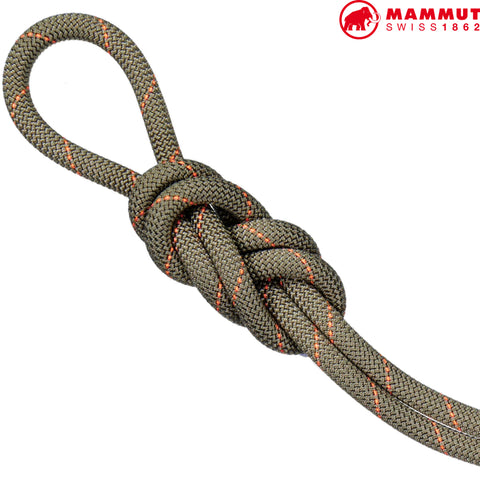 Mammut - Gym Workhorse Classic Rope 9.9mm x 50m (single)