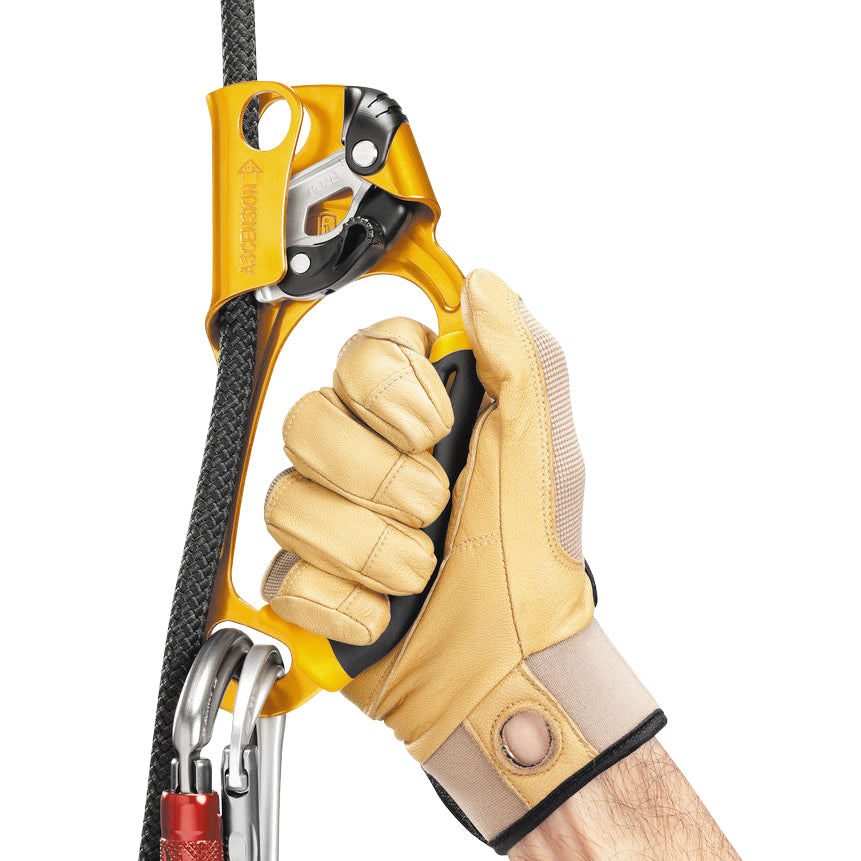 Petzl - Ascension Ascender (Right-Handed)