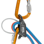 Petzl Reverso
